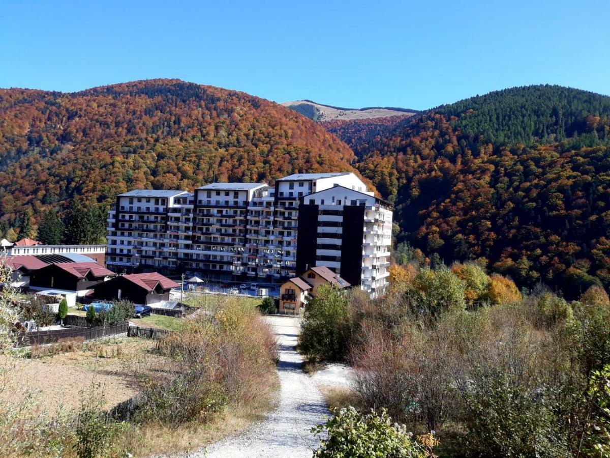 Ripsime Colina Marei Apartment Sinaia Exterior foto